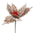 22" Frost Poinsettia Stem - Ginger/White