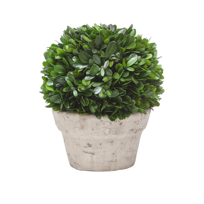9" Boxwood Ball Pot - Green