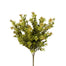 Boxwood Bush - Sage Green