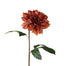 Bella Dahlia Stem