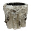 Snow Birch Container