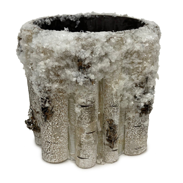 Snow Birch Container
