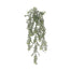 29 in Powdered Dusty Miller Hanging Bush - Green