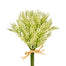 Astilbe Berry Bundle