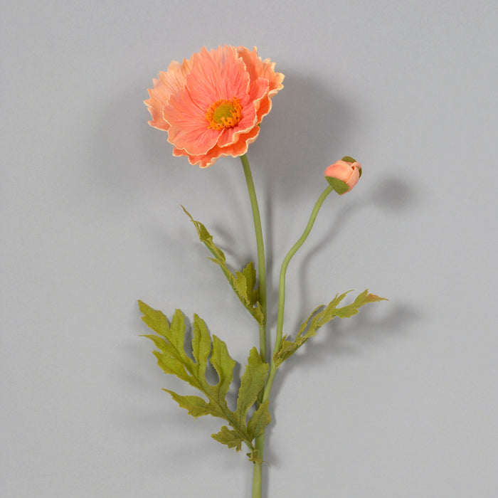 23" Poppy - Salmon