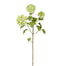 26" Snowball - Light Green