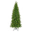 New Hampshire Pine Trees