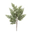 29 in Washed Cedar Spray - Green