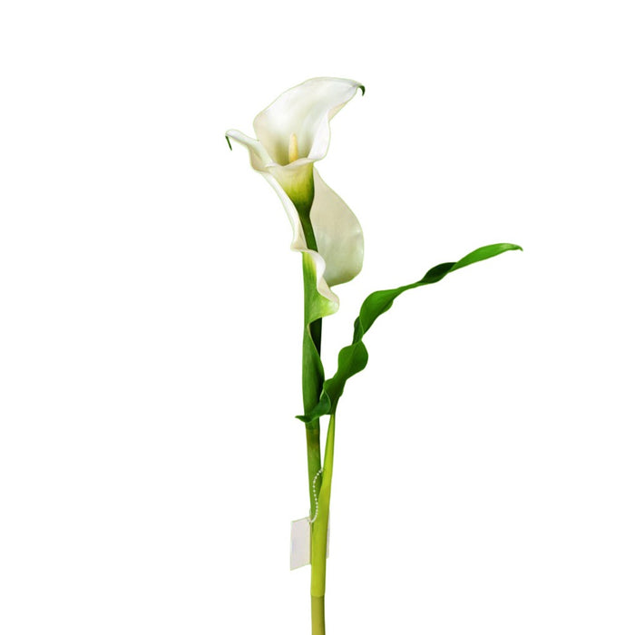 24" Calla Lily w/Leaves - White