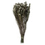 16-22" Natural White Cotton Phylica (4 oz)