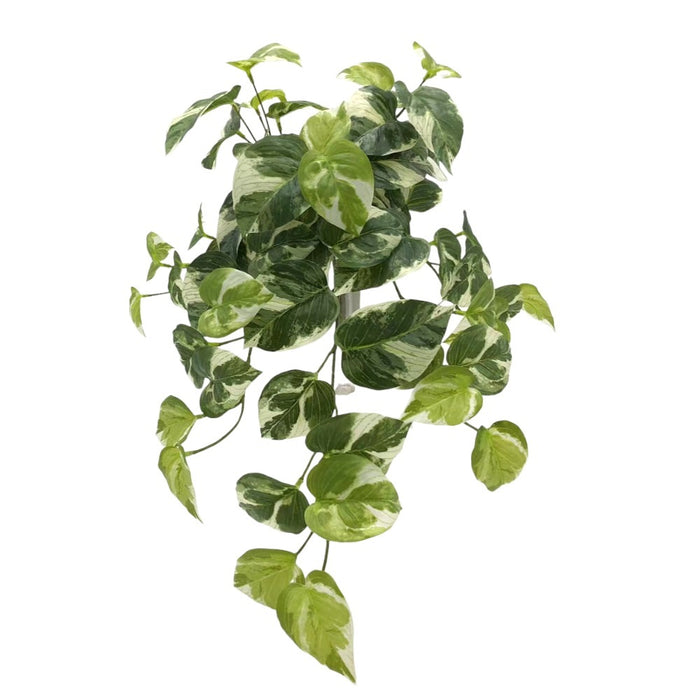 20 in UV Marble Pothos Hanging Bush - Variegated