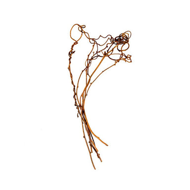 Kiwi Vine 26-28 In - Natural