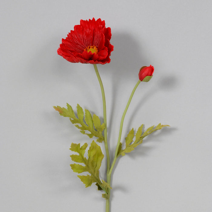 23" Poppy - Red