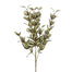 24 in Wandering Jew Bush - Green/Cream