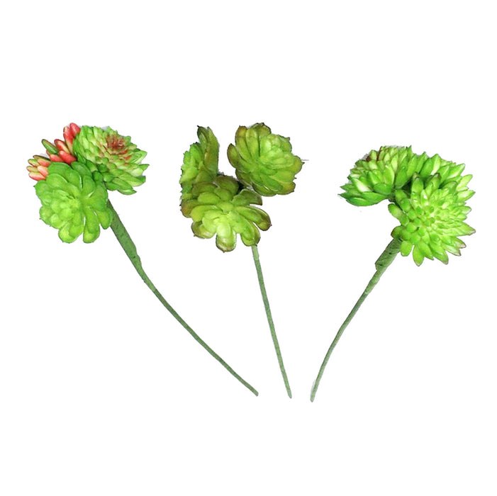 14" Echeveria Succulent Stem 3 Asst - Green/Burgundy