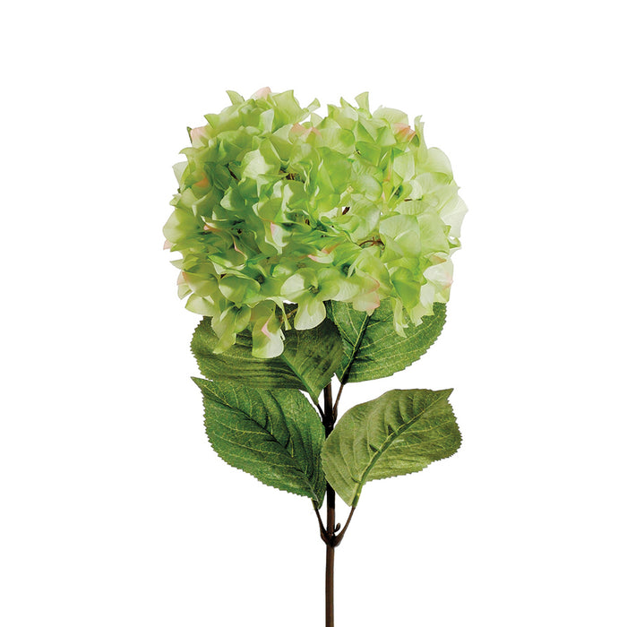 29" In Hydrangea - Light Green
