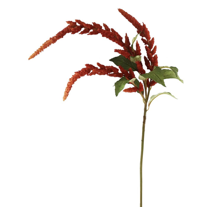 45 in Hanging Amaranthus