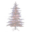 Balsam Tree