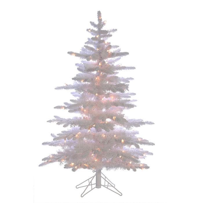 Balsam Tree