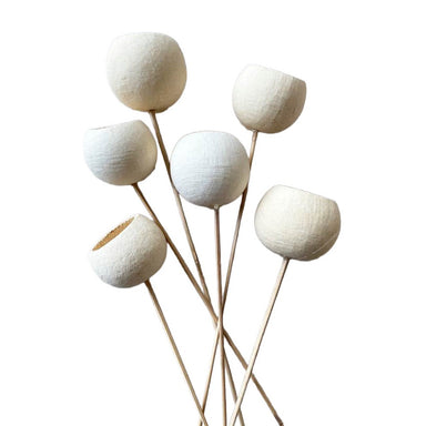 Bell Cup Stem - Bleached