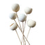 Bell Cup Stem - Bleached