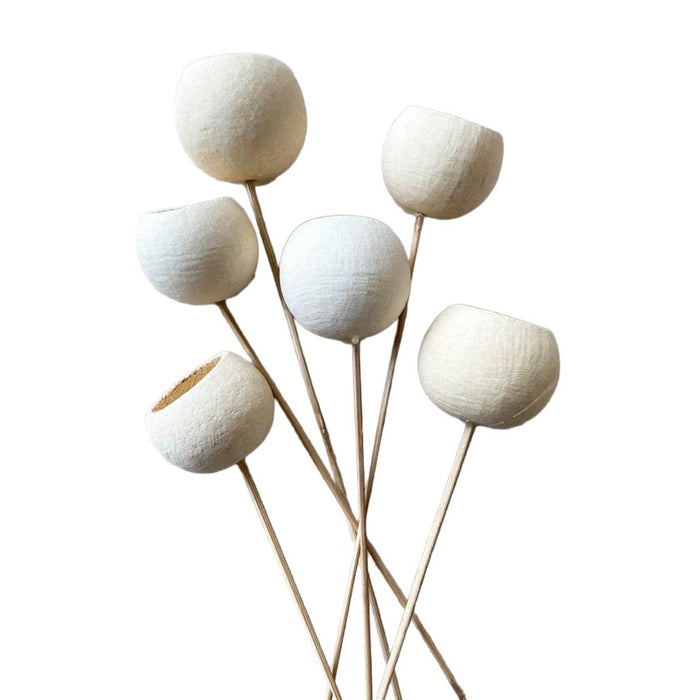 Bell Cup Stem - Bleached