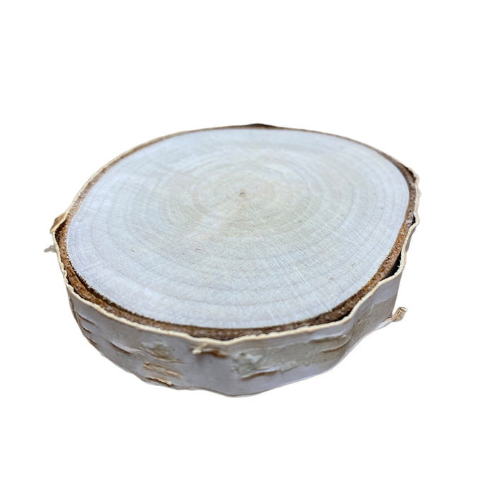 Diameter Birch Coasters