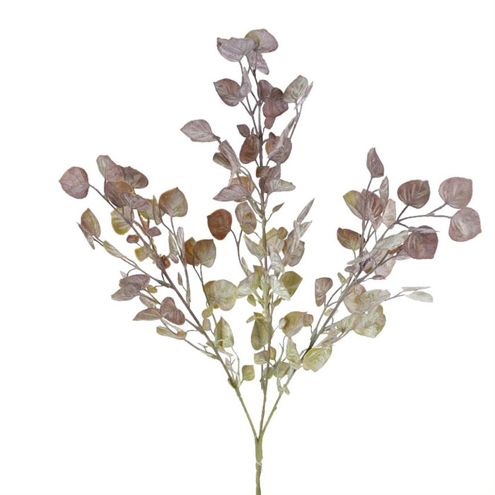 26" Mini Silver Dollar Spray - Burgundy/Green