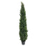 84" Cedar Tree - Green