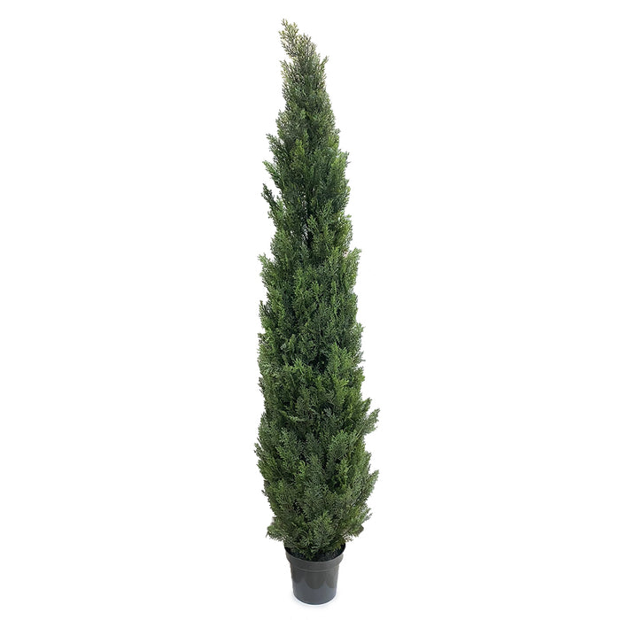 84" Cedar Tree - Green