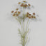 32" Queen Anne's Lace Spray - Chocolate