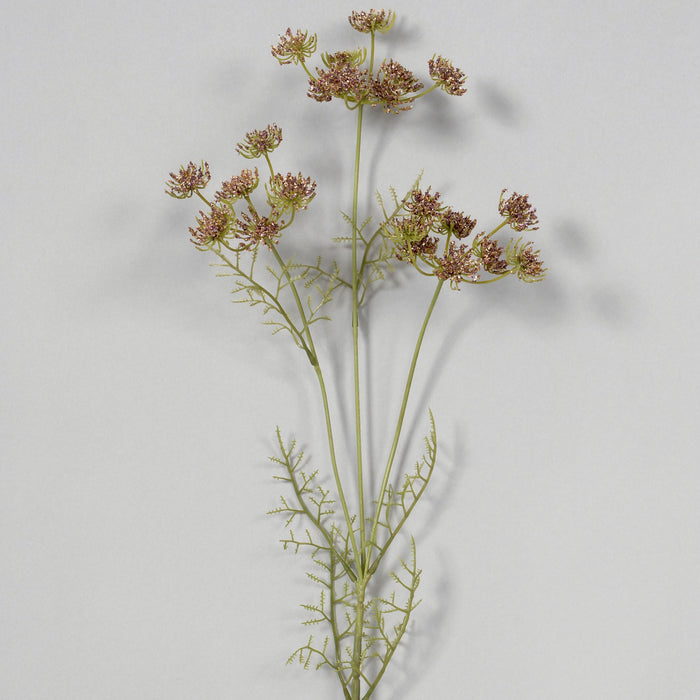 32" Queen Anne's Lace Spray - Chocolate