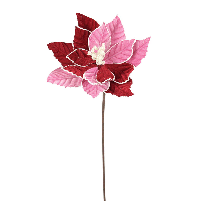 20 Poinsettia Stem - Red/Pink