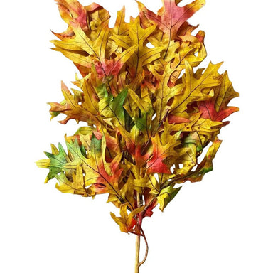 Transparent Oak
