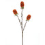 29 in Artificial Banksia Stem - Orange