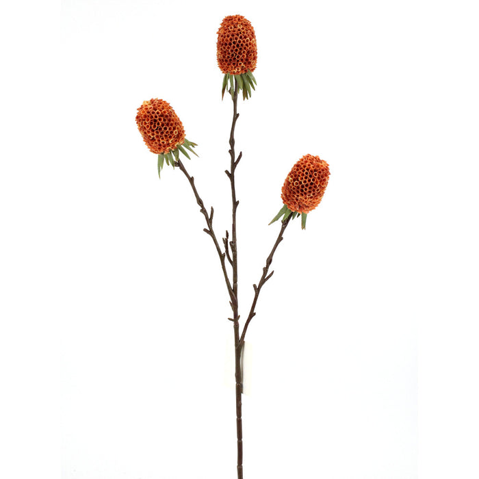 29 in Artificial Banksia Stem - Orange