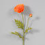 23" Poppy - Orange
