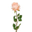 37 in Polyester Large Rose