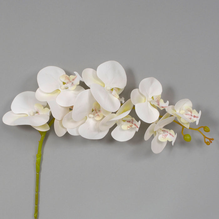 39" Polyester Moth Orchid - White