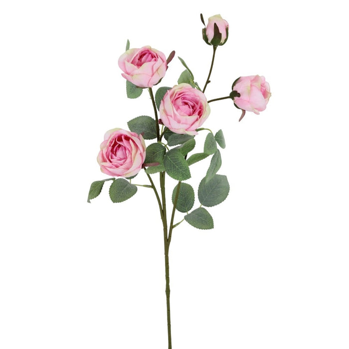 25 in Rose Spray - Pink