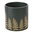 Midwinter Fern Pot 6.5"