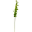 38 in Bells of Ireland - Green