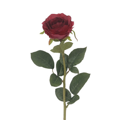 27 in Polyester Rina Rose