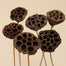 Small Lotus Pod/Stem - Natural