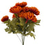 Rust Mum Bush