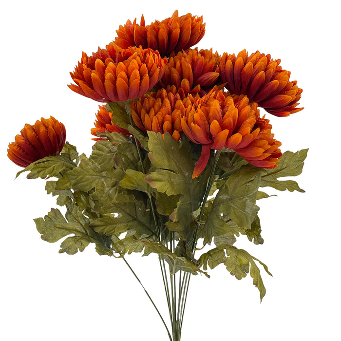 Rust Mum Bush