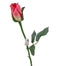 22 1/2 in Single Princess Mary Rose Bud