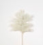 14 1/2 in Glittered Pine Spray - White