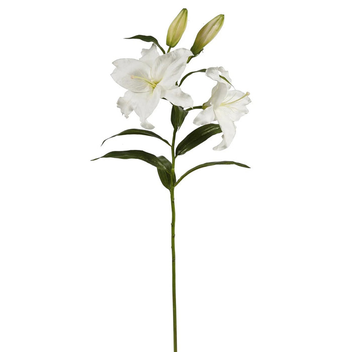 39.5" Lily Casablanca - White