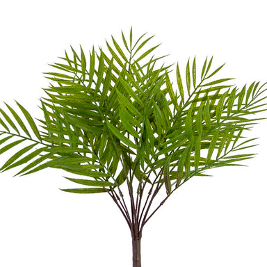 19 in Palm Bush - Green